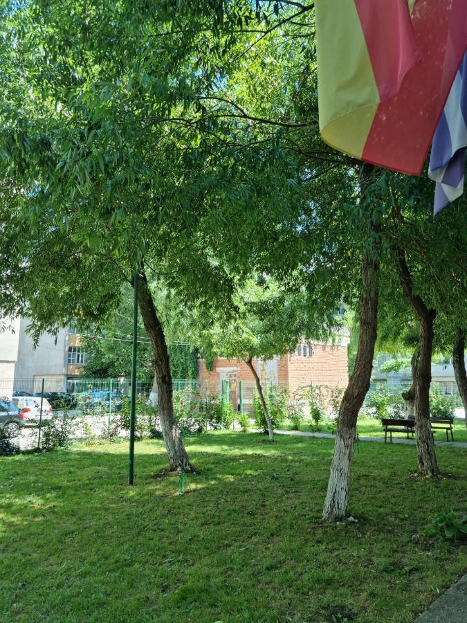 Apartamento Garsoniere Aby Turnu Măgurele Exterior foto