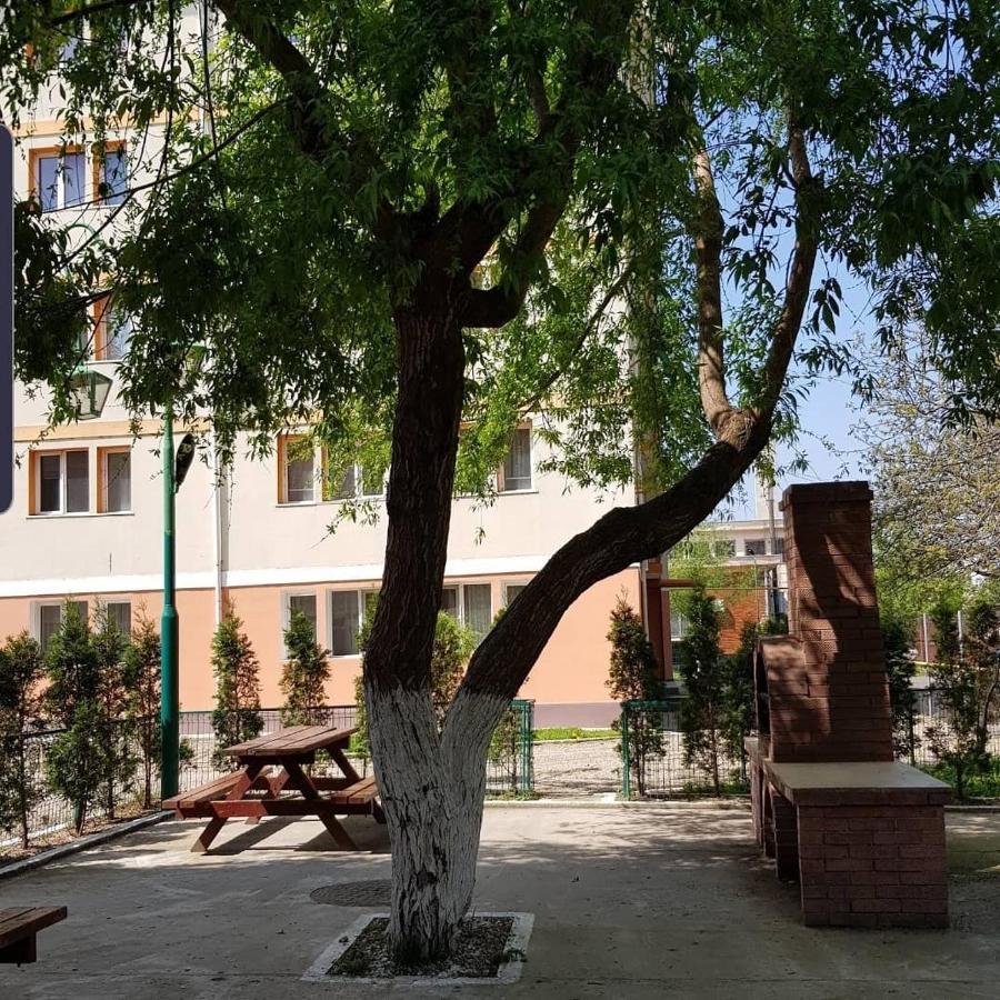 Apartamento Garsoniere Aby Turnu Măgurele Exterior foto